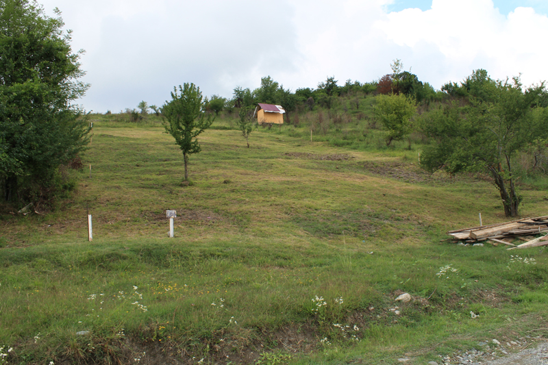 Участок 6 соток