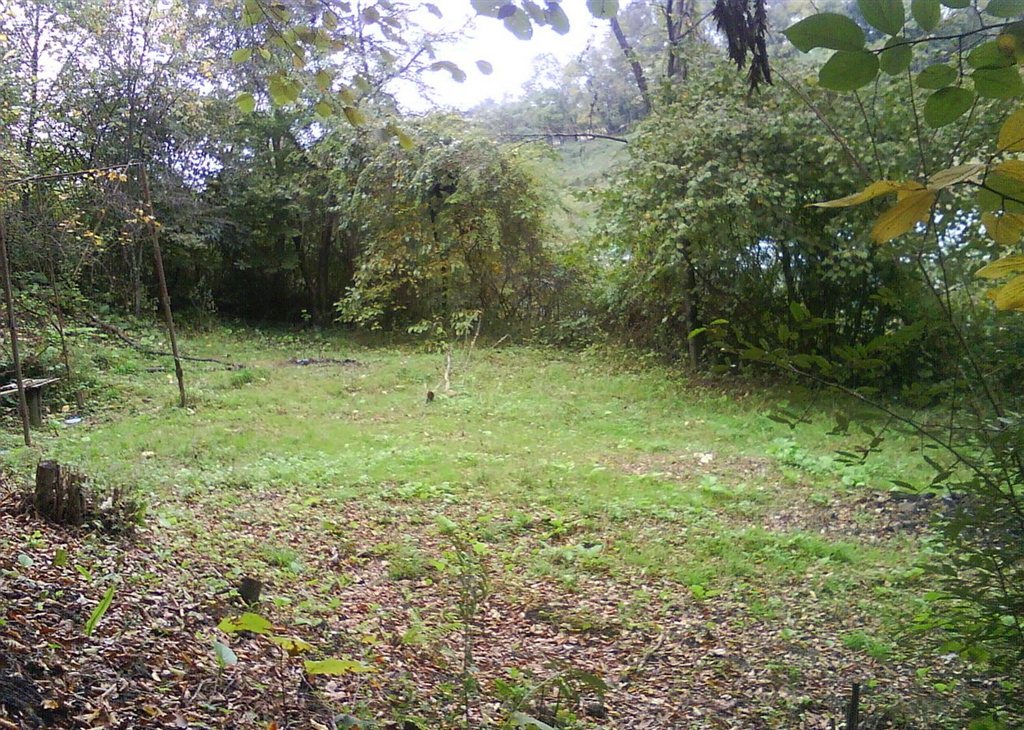 Небольшой уютный участок