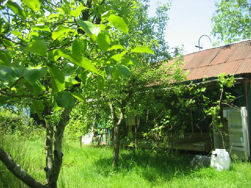 Земельный участок в КП